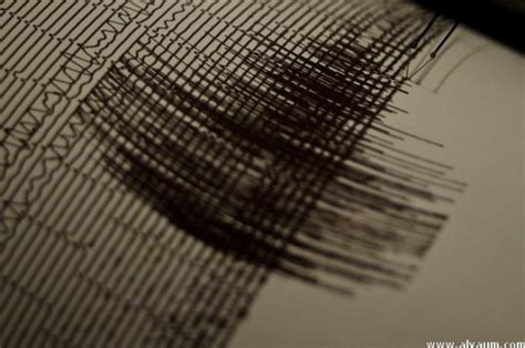 زلزال يضرب العاصمة اليابانية دون صدور تحذير من تسونامي دنيا الوطن