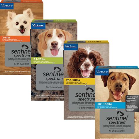 sentinel spectrum heartworm flea prevention  dogs petmeds