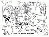 Coloring Pages Rainforest Printable Forest Animals Rain Kids Popular sketch template
