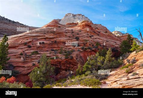 Rocas De Colores En El Parque Nacional Zion Fotografías E Imágenes De