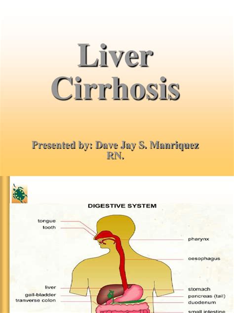 Pathophysiology On Liver Cirrhosis Pdf Cirrhosis Liver