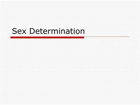 Ppt Sex Determination Powerpoint Presentation Free Download Id 3215785