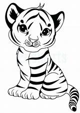 Colouring Tigers Unicorn Cubs sketch template