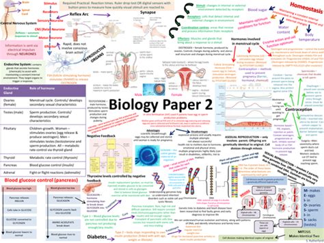 aqa biology paper  revision poster teaching resources