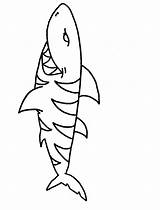 Shark Cartoon Coloring Pages Library Clipart Easy sketch template