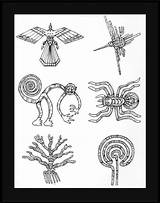 Nazca Inca Lineas Tatoo Damian Incas Nasca Simbolos Greek Peruano Peruvian Tatoeages татуировки перейти выбрать доску Tablicę Wybierz する Inka sketch template