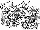 Reef Coral Coloring Fish Pages Barrier Great Drawing Predators Gathering Ecosystem Ocean Getdrawings Sheet Color Reefs Play sketch template