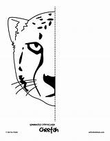 Pages Symmetry Printable Drawing Symmetrical Worksheets Coloring Kids Activities Cat Activity Animal Hub Worksheet Half Finish Mirror Line Cheetah Arts sketch template