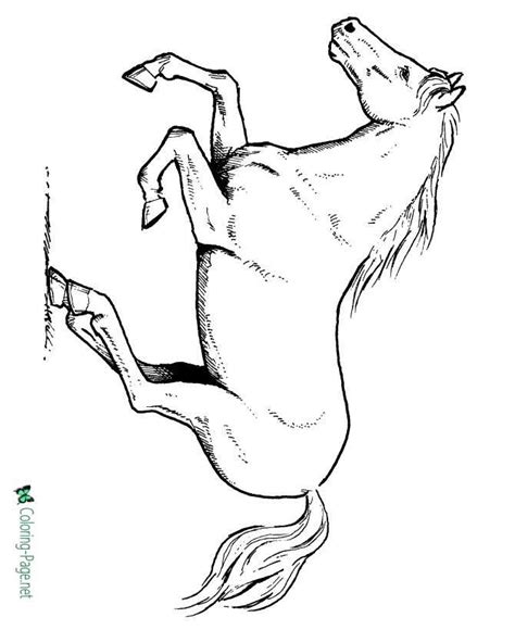 running stallion horse coloring pages