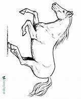 Coloring Horses Pferd Ausmalbild Cowgirls Pic Kostenlos Insertion sketch template
