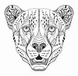 Cheetah Zentangle Mandala Mandalas Stylized Guepardo Jaguar Freehand Elefantes Ilustración sketch template
