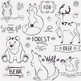 Waldtiere Wald Malvorlagen Tiere Doodles Mignons Visiter Vorschule Seiten Farbung sketch template