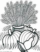 Coloring Pages Fall Harvest Printable Autumn Adult Adults Wheat Thanksgiving Flowers Sheets Cornucopia Color Colouring Festival Drawing Kids Scenes Easy sketch template