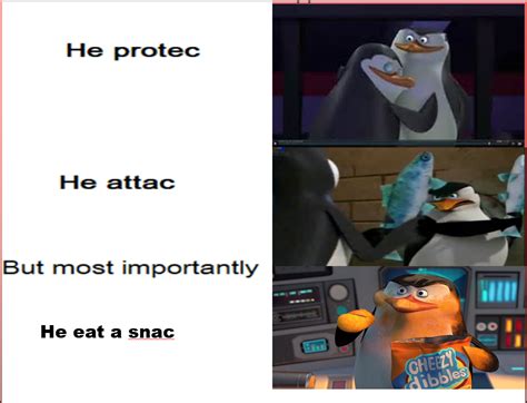 penguins of madagascar memes reddit the best kowalski analysis