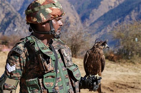 education news indian armys  weapon   bird  eagles   trained