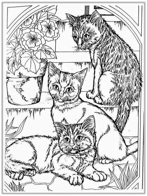 coloring pages  realistic cats