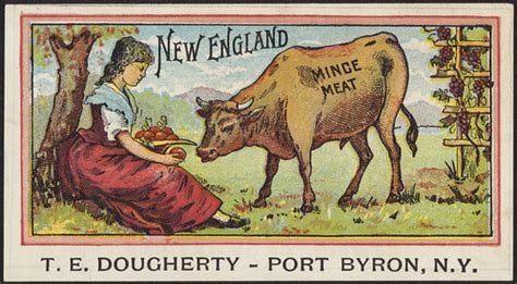 england mince meat front file   bi flickr