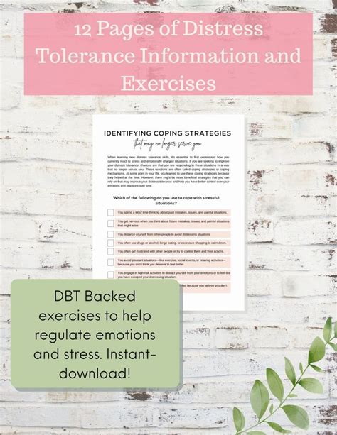 distress tolerance skill building workbook printable dbt etsy