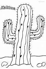 Kaktus Druckbare Zum sketch template