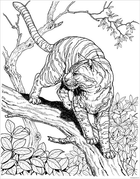 hard color  number coloring pages animals coloring pages