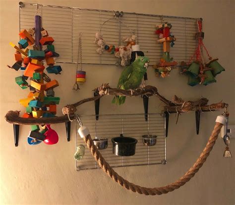 baby bird parrot toys bird aviary pet bird cage