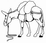 Mule Animal Coloring4free 1628 Bauernhoftiere Azcoloring sketch template