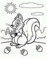 Coloring Squirrel Pages Printable Kids Print sketch template
