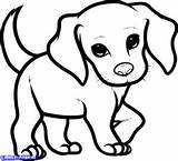 Dog Chien Hond Kawaii Makkelijk Honden Getcolorings Getdrawings Makkelijke Leuk 123dessins sketch template