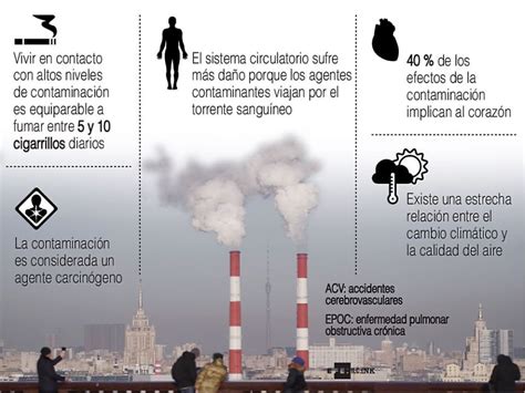 infografia consecuencias de la contaminacion libelula craft images