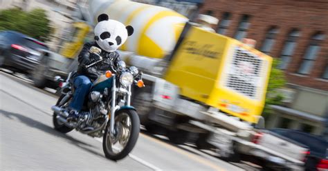 Motorcycle Riding Panda Bears With Attention