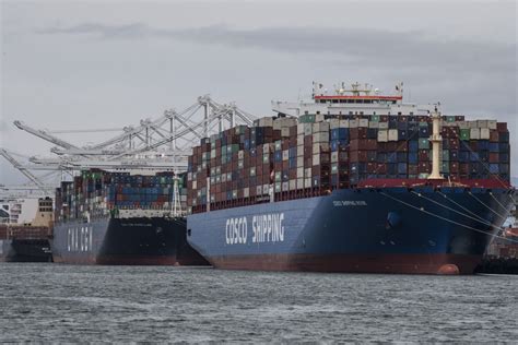 report  global shipping trade hurting  covid  era upicom