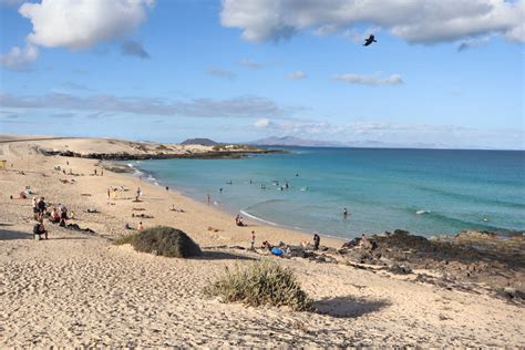 fuerteventura island guide   beaches   canary islands