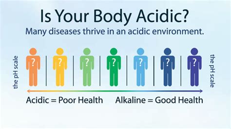 Understanding Your Body S Ph And How An Acid Or Alkaline