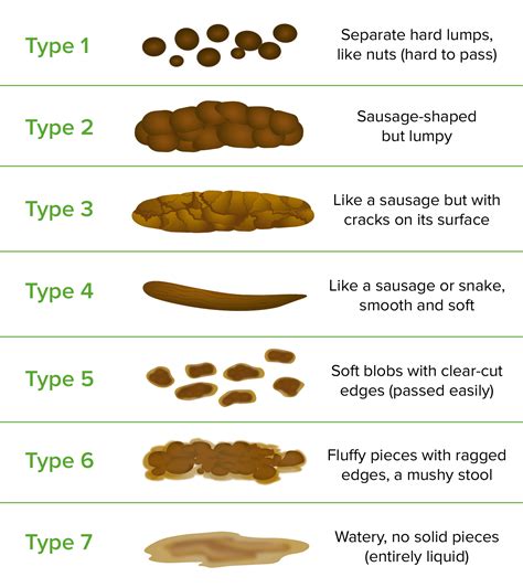 overview   bristol stool chart porn sex picture