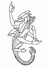 Skorpion Scorpion Ausmalbilder sketch template