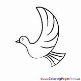 Coloring Pages Confirmation Pigeon Sheet Title sketch template