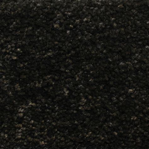 black carpet carpet vidalondon