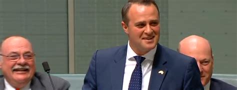 watch liberal mp tim wilson proposes to partner in