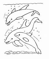 Pesci Bojanke Delfine Delfin Colorat Golfinhos Ribe Riba Delfines Delphine Crtež Delfino Delfini Tiere Brincando Saltando Oceano Dauphins Animale P13 sketch template