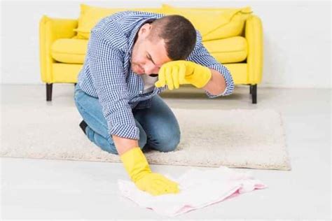 clean vomit  carpet  easy steps