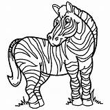 Zebras Colorindo Zebre Tiere Educativeprintable Marcadores Malvorlage Kategorien sketch template