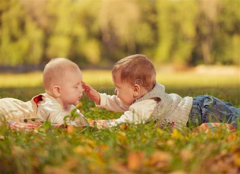 babies stock photo image  caucasian cool togetherness