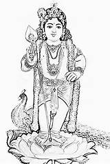 Murugan Lord Sketch Wallpapers Coloring Pages Template Posted sketch template
