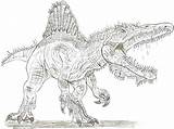 Spinosaurus Spinosaure Spinosauro Imprimer Suchomimus Dinosaure Coloringtop Downloa sketch template