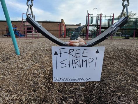 Free Shrimp On The Swing At The Woodward Elementary School Playground