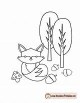 Coloring Woodland Pages Fox Animals Cute Animal Printable Printables Creatures Colouring Creature Kids Print Getcolorings Baby Popular Coloringhome Choose Board sketch template