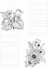 Copic Coloring Pens Markers Alcohol Pages Printable Practice Template Flowers Tutorial Copics Uploaded User sketch template