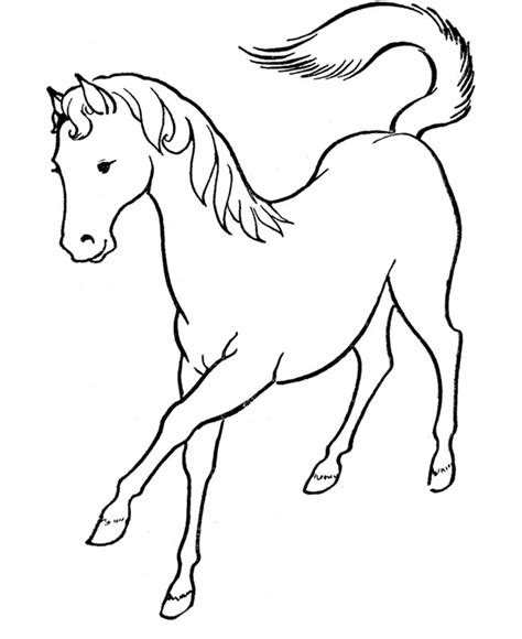 small horse coloring pages  getcoloringscom  printable