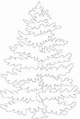 Tree Coloring Pine Pages Printable Christmas Popular Library Clipart Coloringhome sketch template