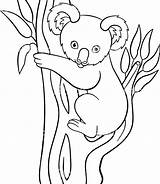 Koala Coloring Pages Cartoon Baby Simple Drawing Printable Cute Goomba Mario Moose Kids Color Animal Getdrawings Getcolorings Doodle Print Colorings sketch template